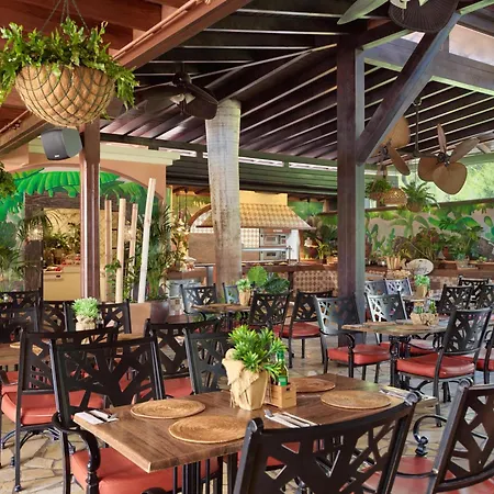 绿色花园套房度假酒店 酒店 美洲海滩