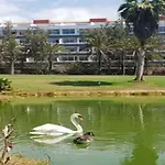 Garden Eco